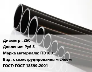 Труба полиэтиленовая 250 Ру6.3 ПЭ100 с соэкструдированным слоем ГОСТ: ГОСТ 18599-2001